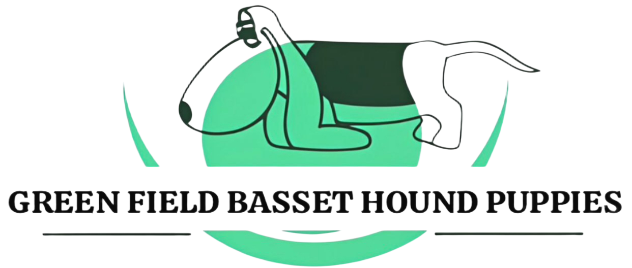 greenfieldbassets.com
